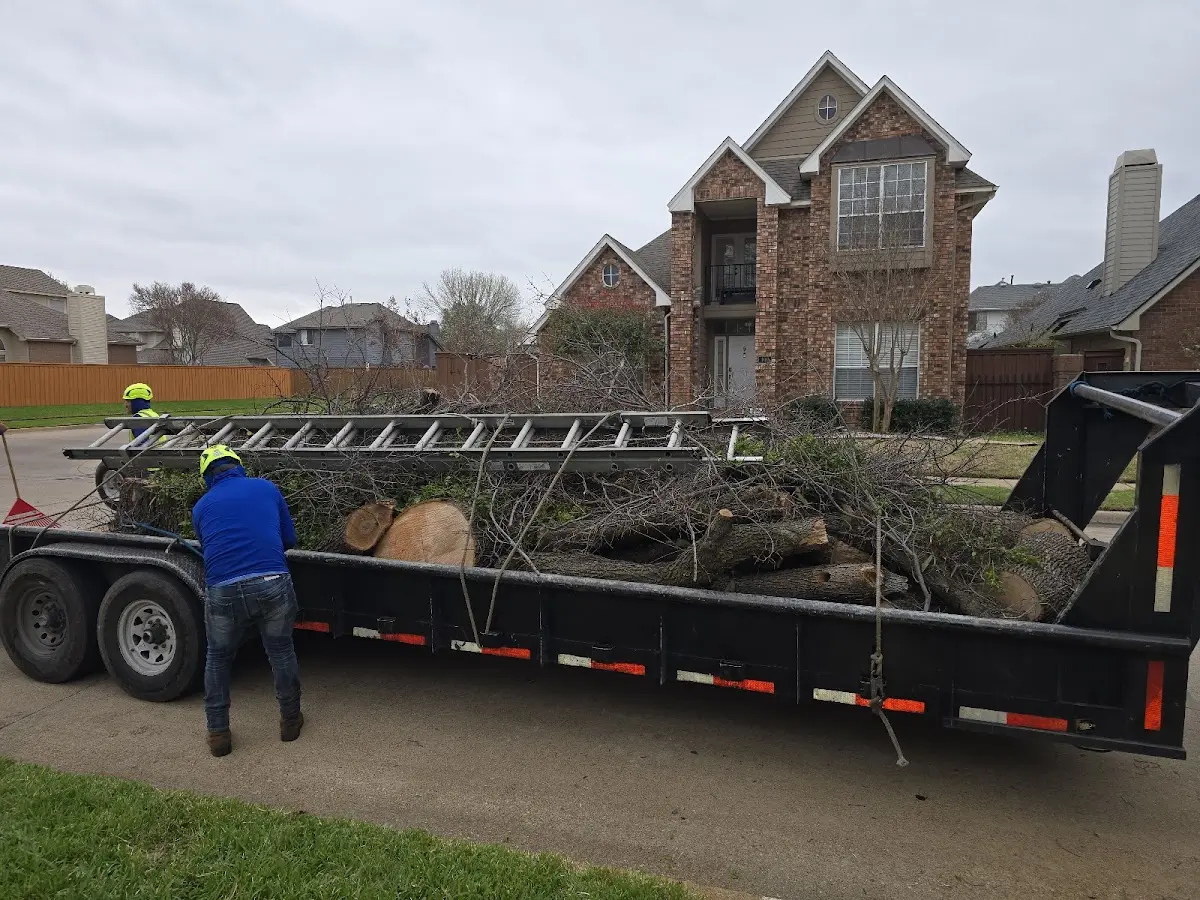 Expert Tree Fertilization with proper safety equipment in Mellette